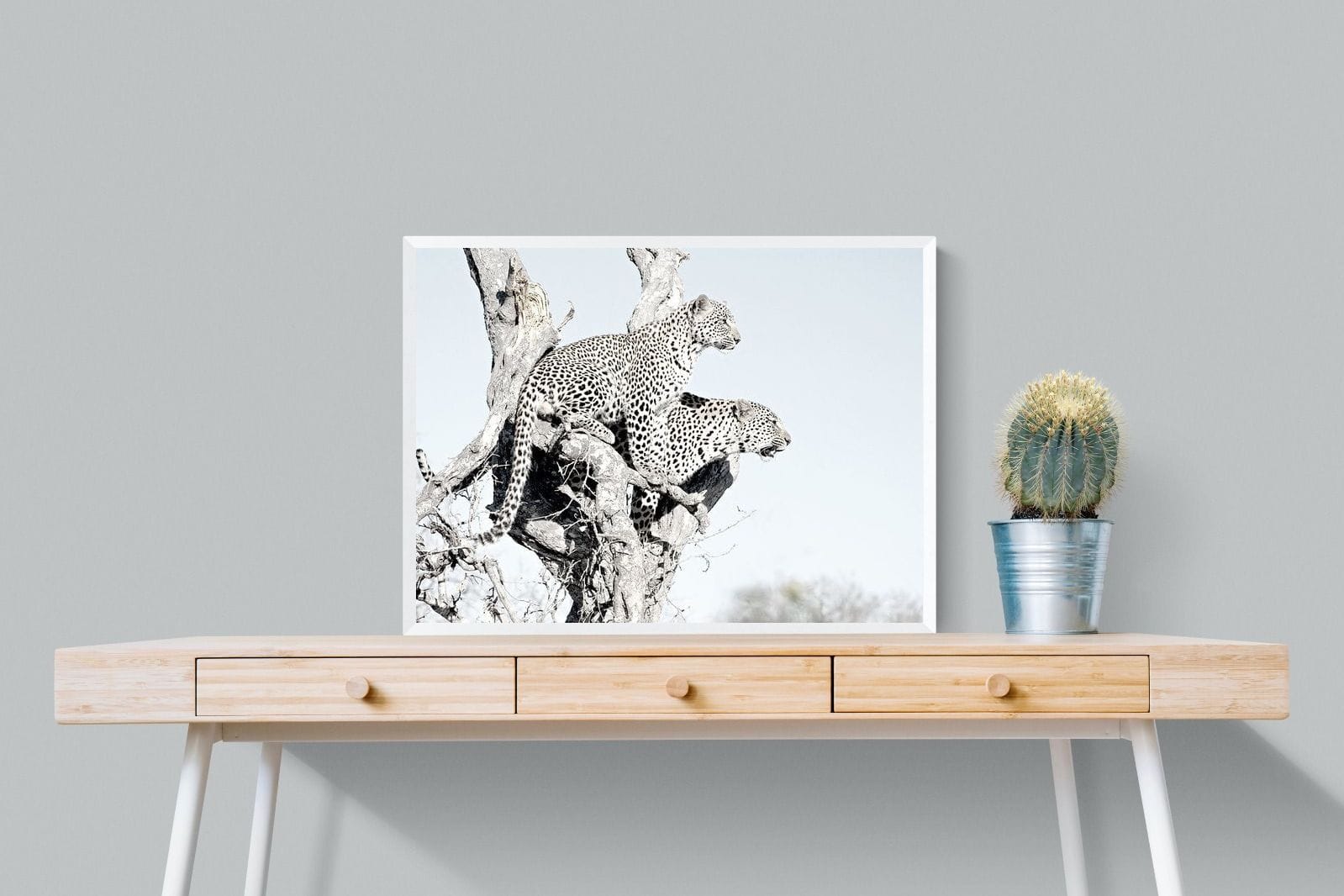 Poised Leopards-Wall_Art-80 x 60cm-Mounted Canvas-White-Pixalot
