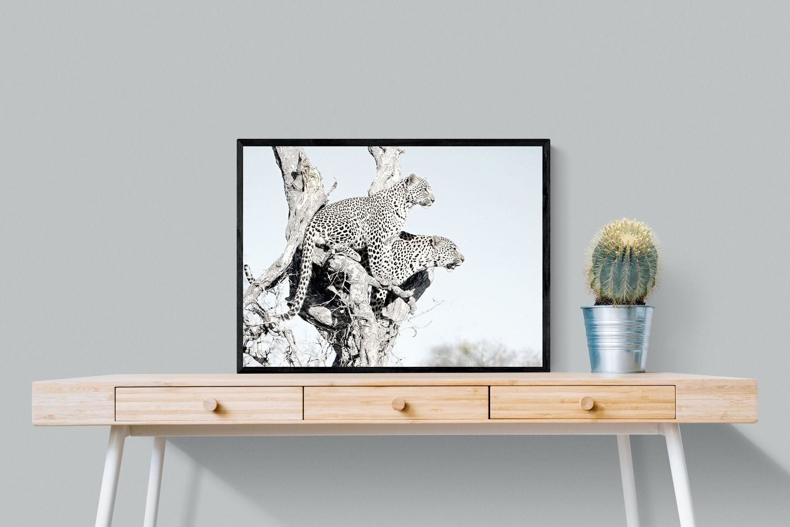 Poised Leopards-Wall_Art-80 x 60cm-Mounted Canvas-Black-Pixalot