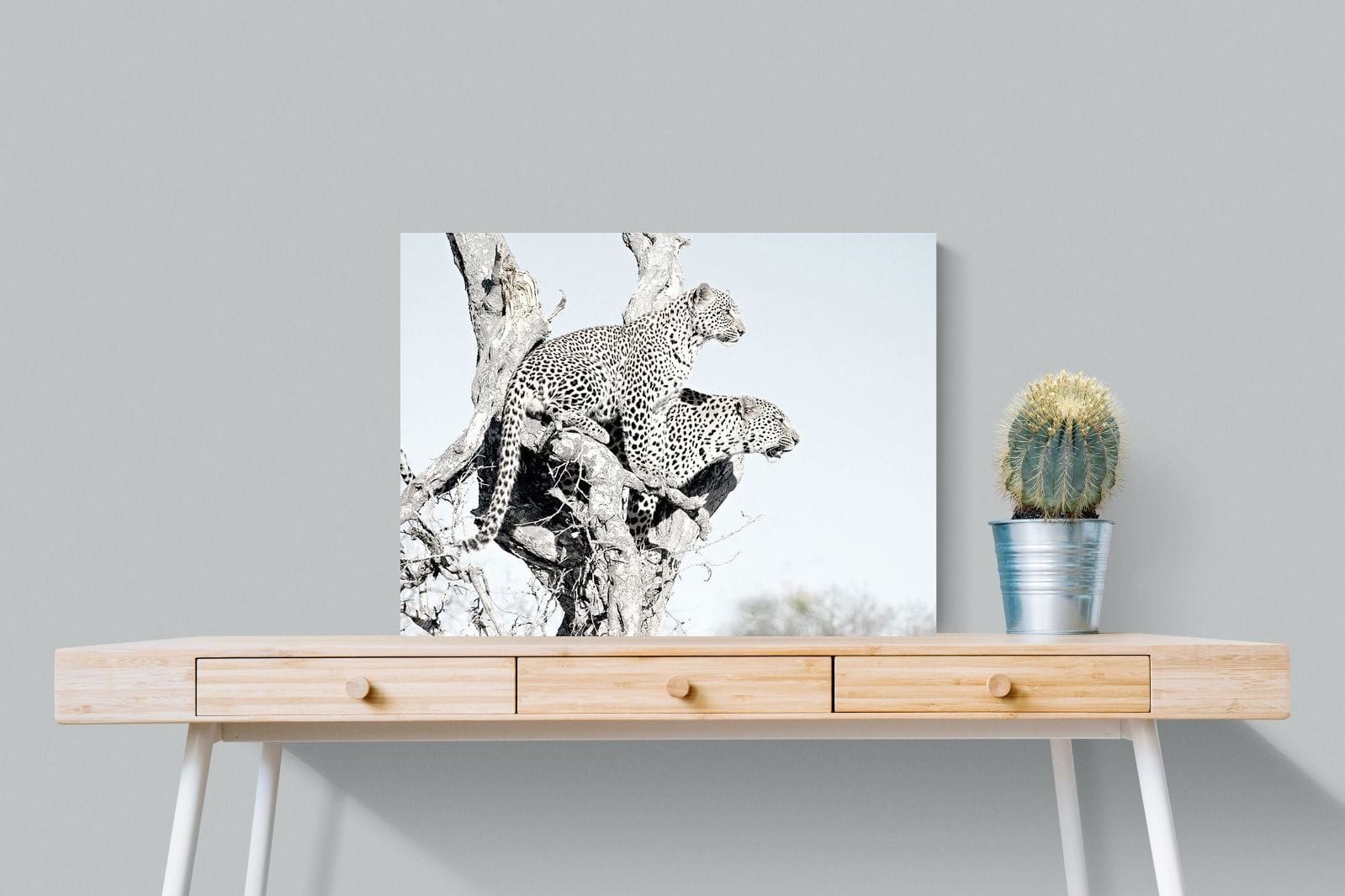 Poised Leopards-Wall_Art-80 x 60cm-Mounted Canvas-No Frame-Pixalot