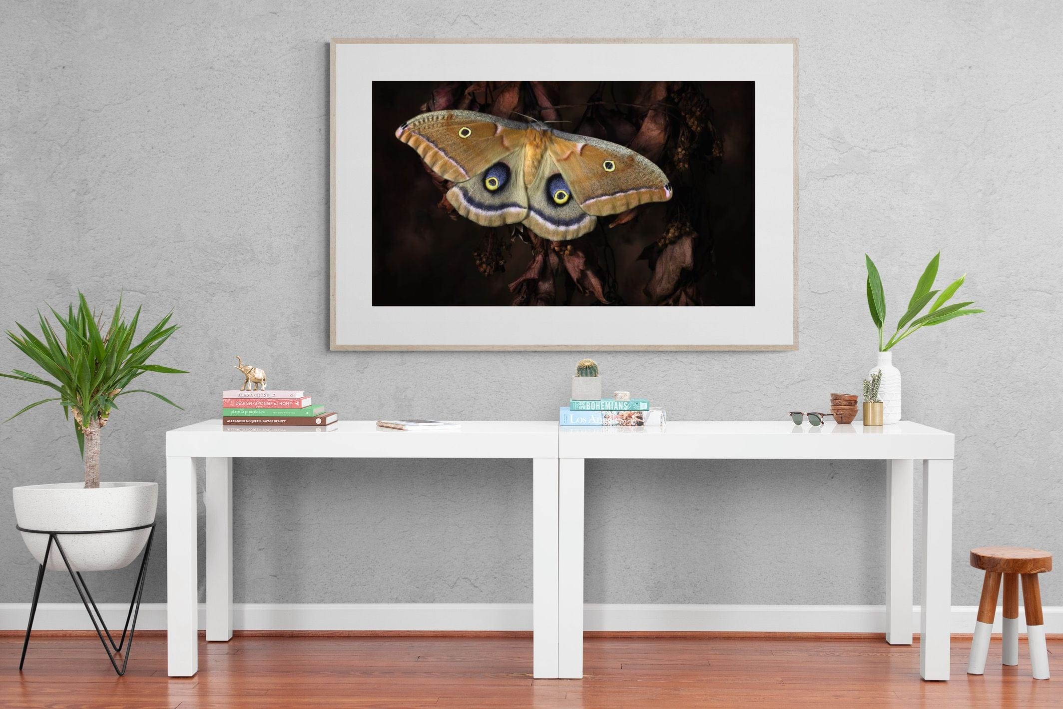 Polyphemus-Wall_Art-150 x 100cm-Framed Print-Wood-Pixalot