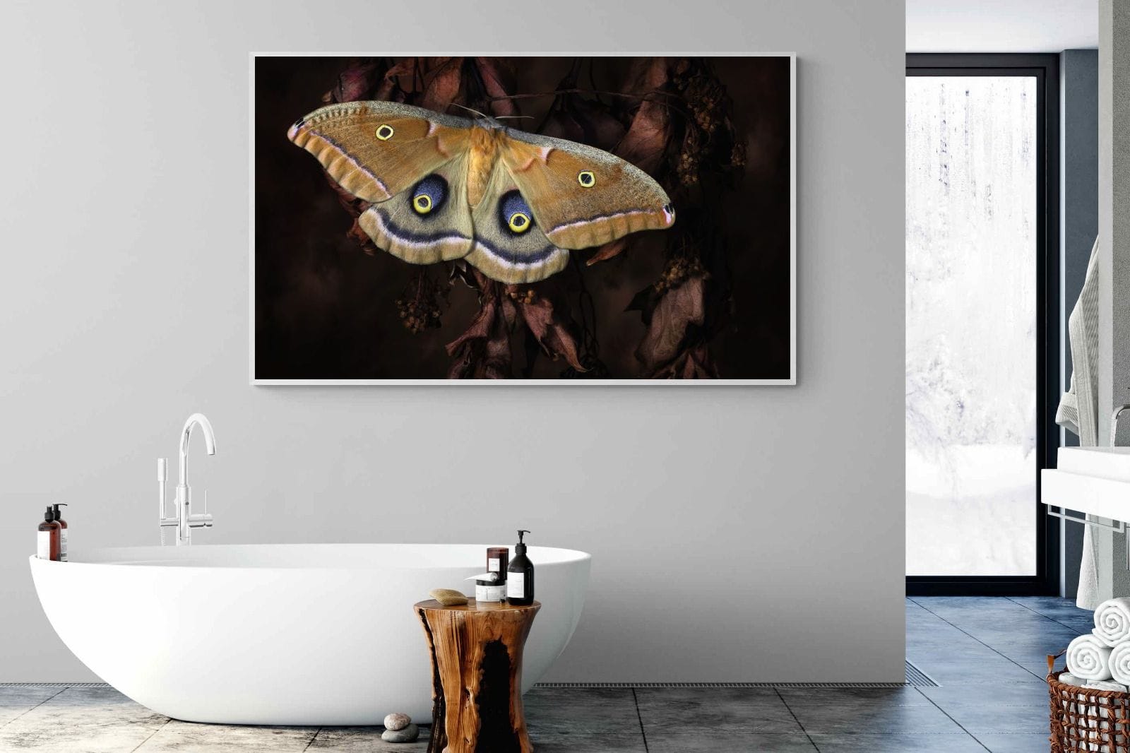Polyphemus-Wall_Art-180 x 110cm-Mounted Canvas-White-Pixalot