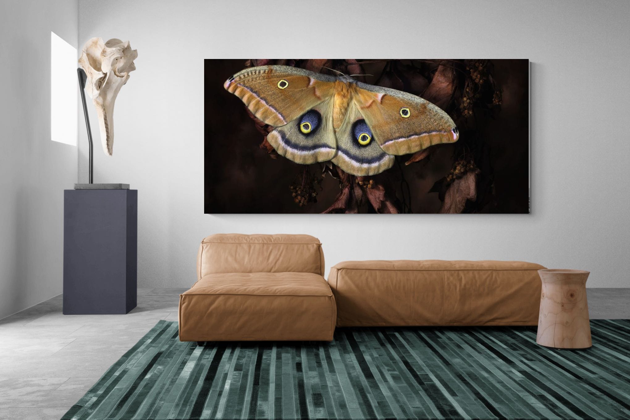 Polyphemus-Wall_Art-275 x 130cm-Mounted Canvas-No Frame-Pixalot