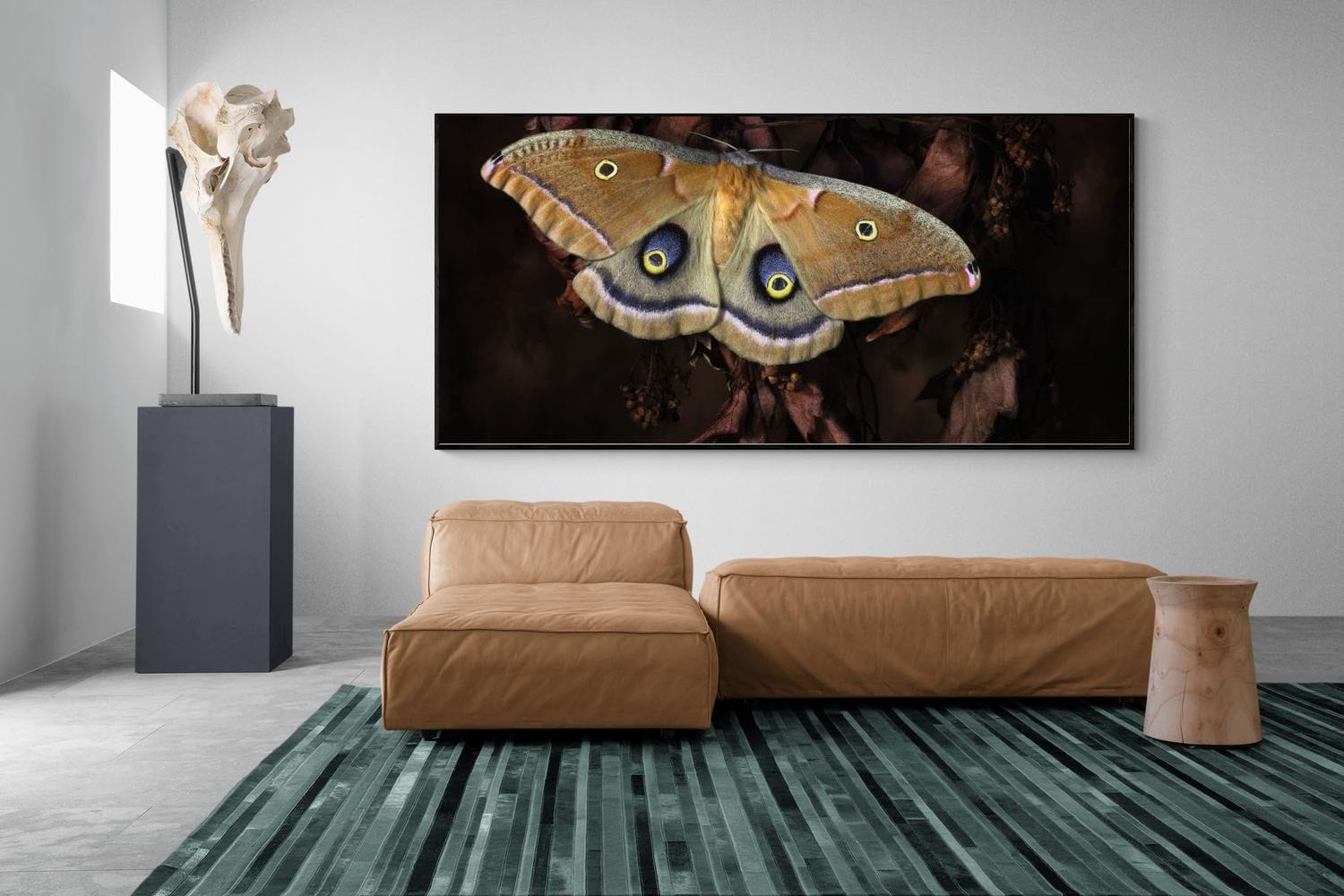 Polyphemus-Wall_Art-275 x 130cm-Mounted Canvas-Black-Pixalot