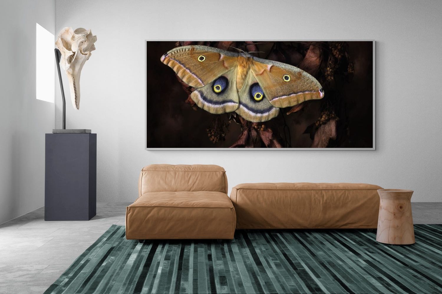 Polyphemus-Wall_Art-275 x 130cm-Mounted Canvas-White-Pixalot