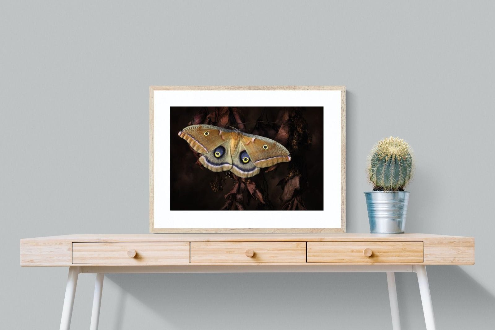 Polyphemus-Wall_Art-80 x 60cm-Framed Print-Wood-Pixalot