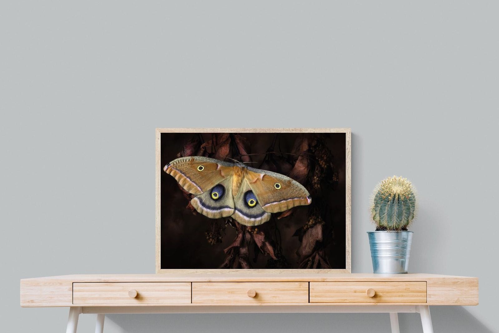 Polyphemus-Wall_Art-80 x 60cm-Mounted Canvas-Wood-Pixalot