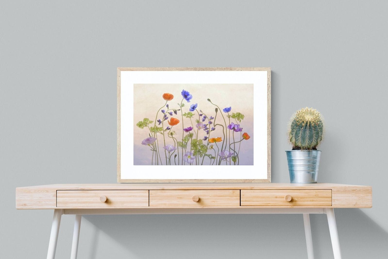 Poppy Anemone-Wall_Art-80 x 60cm-Framed Print-Wood-Pixalot