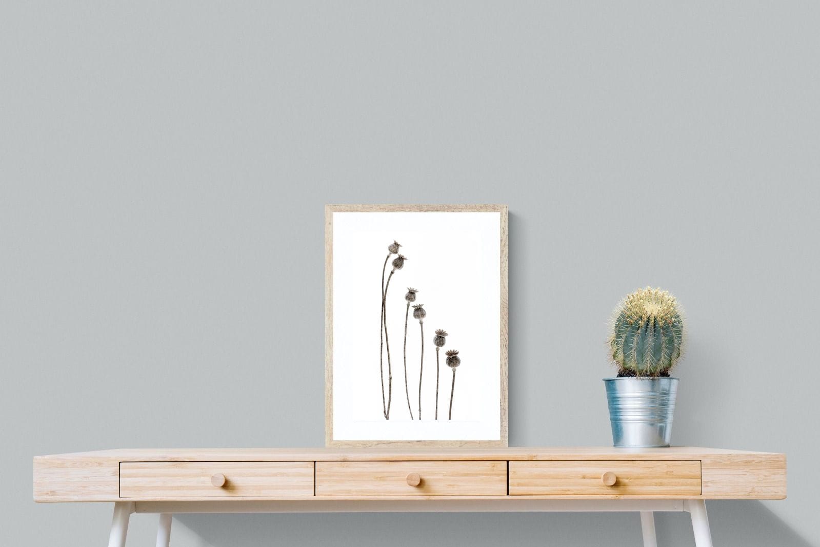 Poppy Pods-Wall_Art-45 x 60cm-Framed Print-Wood-Pixalot