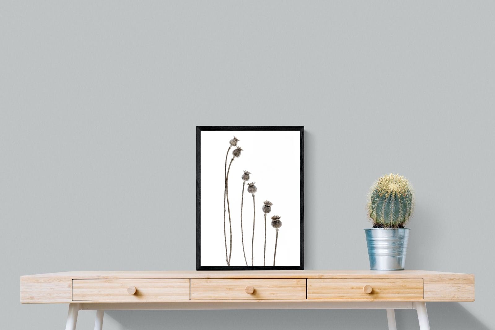 Poppy Pods-Wall_Art-45 x 60cm-Mounted Canvas-Black-Pixalot