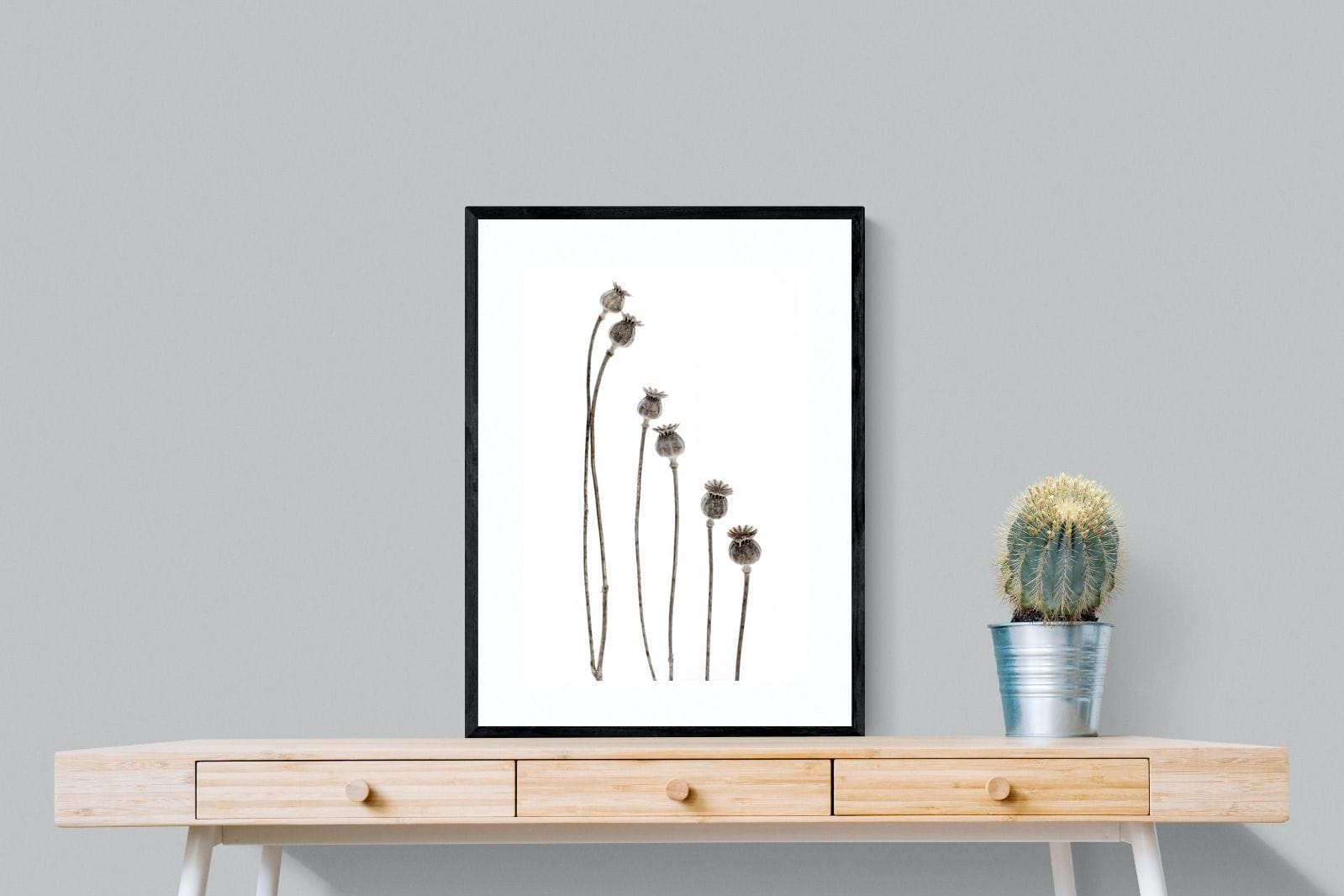 Poppy Pods-Wall_Art-60 x 80cm-Framed Print-Black-Pixalot
