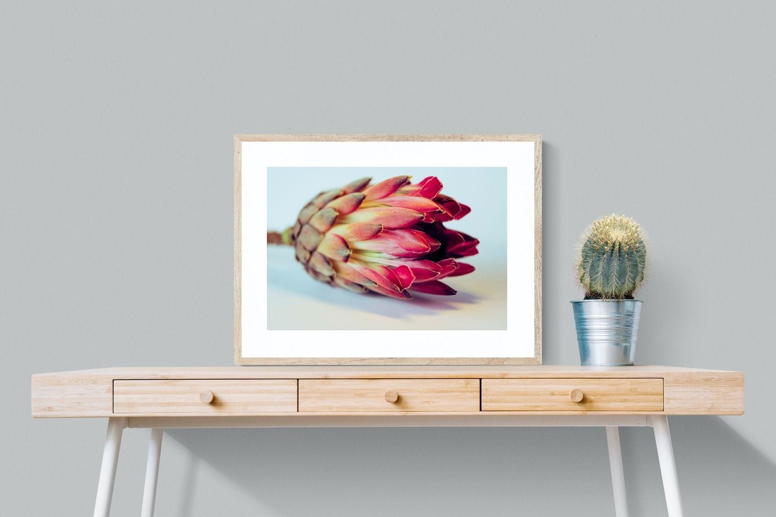 Protea Still Life-Wall_Art-80 x 60cm-Framed Print-Wood-Pixalot