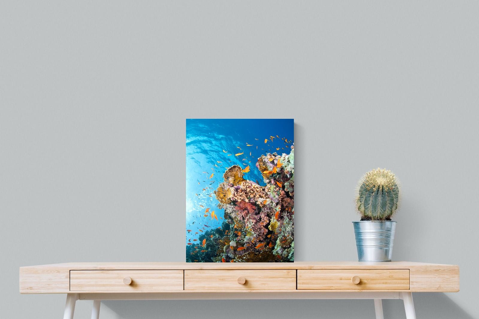 Reef-Wall_Art-45 x 60cm-Mounted Canvas-No Frame-Pixalot