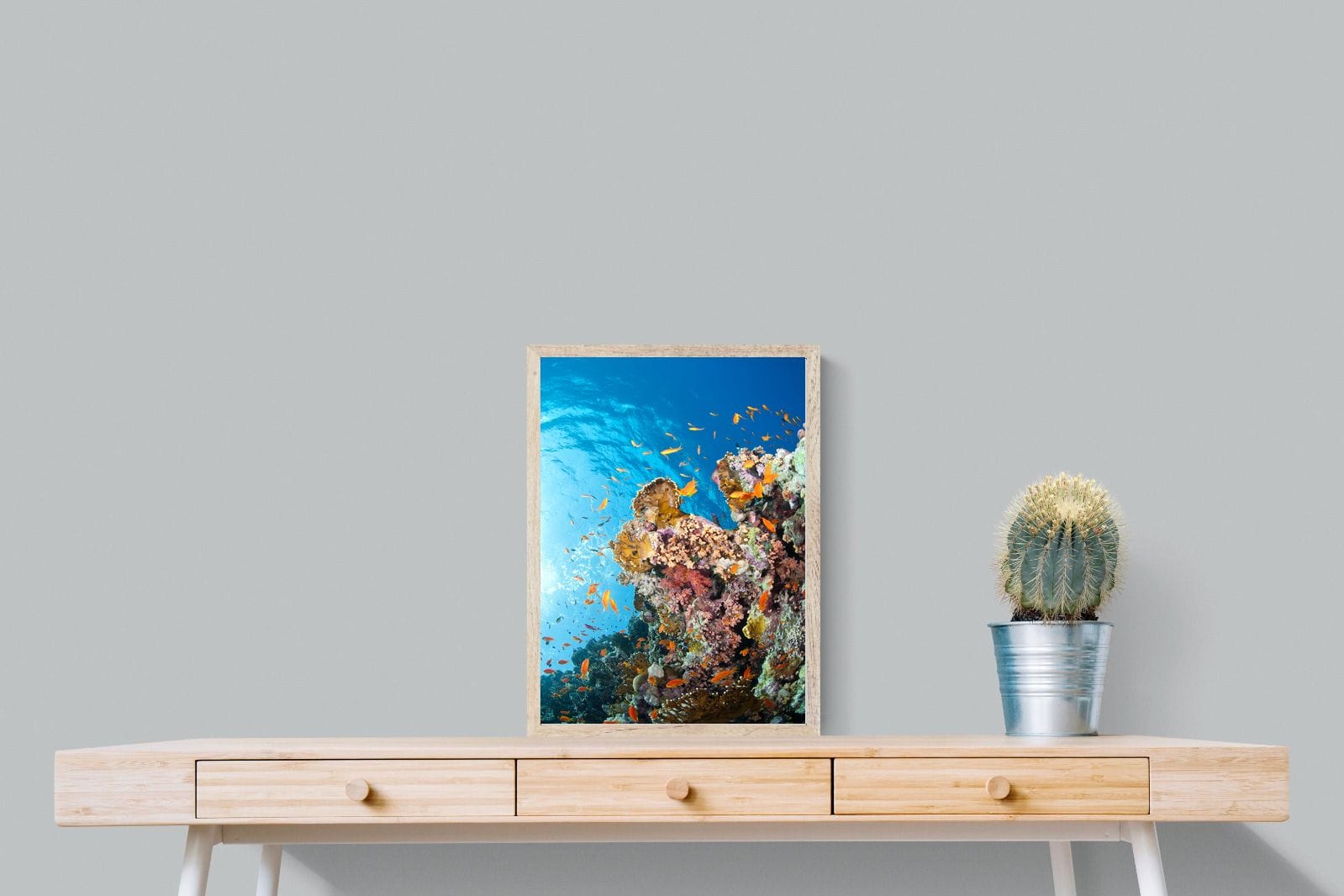 Reef-Wall_Art-45 x 60cm-Mounted Canvas-Wood-Pixalot