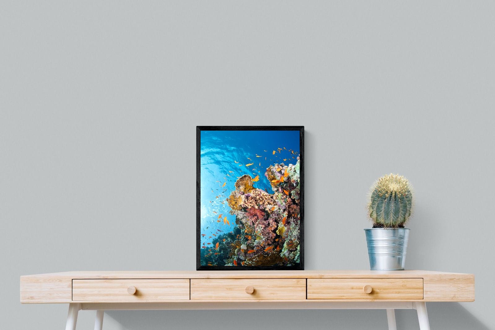 Reef-Wall_Art-45 x 60cm-Mounted Canvas-Black-Pixalot