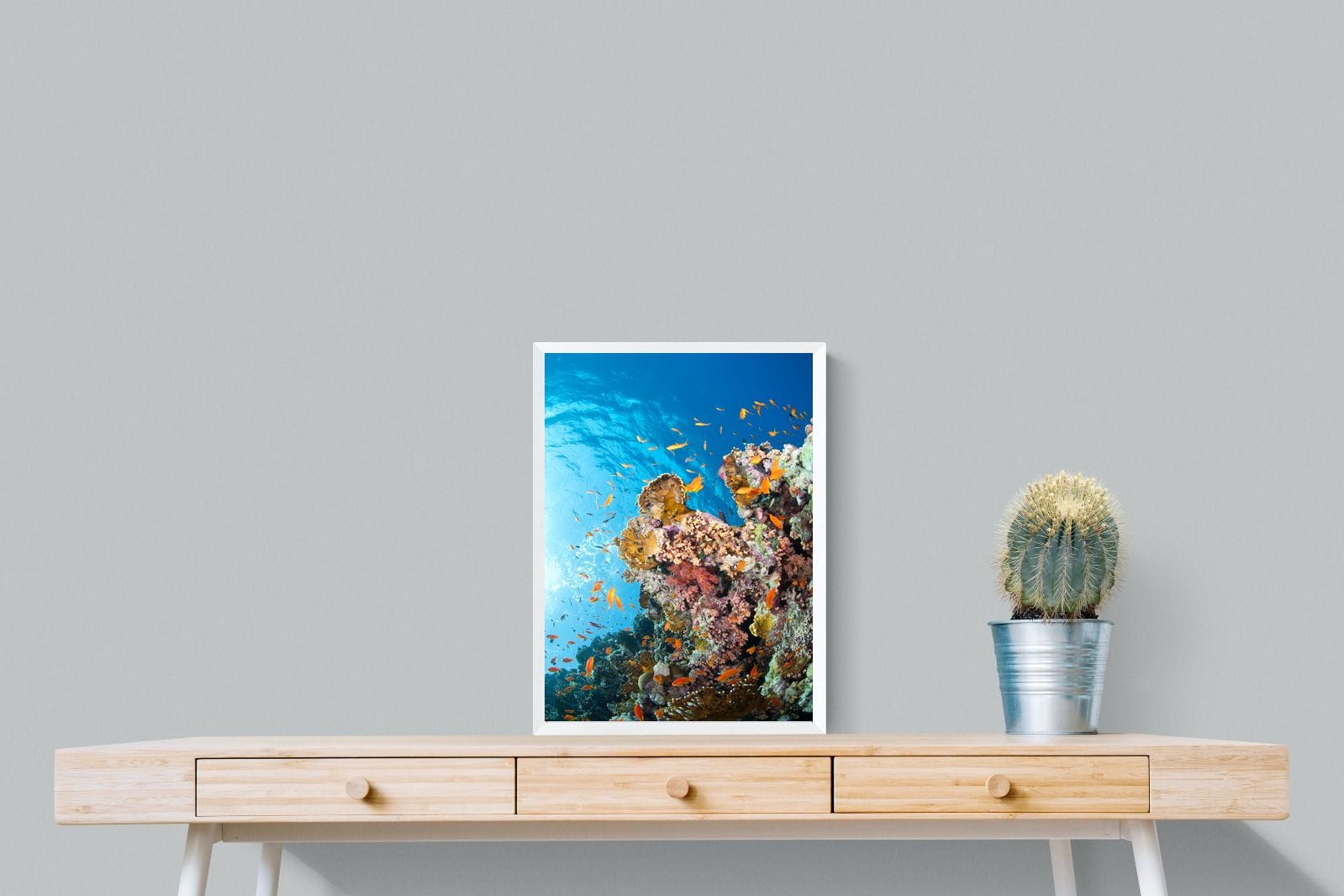 Reef-Wall_Art-45 x 60cm-Mounted Canvas-White-Pixalot