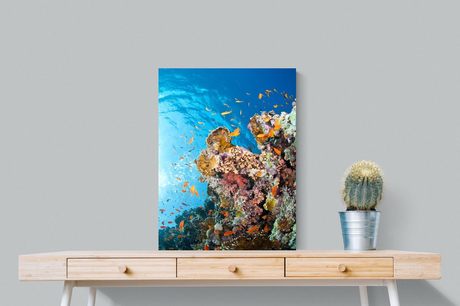 Reef-Wall_Art-60 x 80cm-Mounted Canvas-No Frame-Pixalot