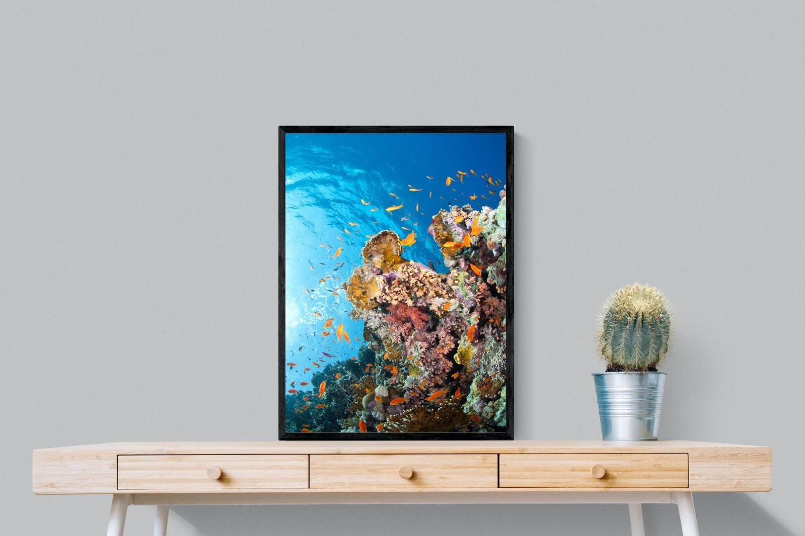 Reef-Wall_Art-60 x 80cm-Mounted Canvas-Black-Pixalot