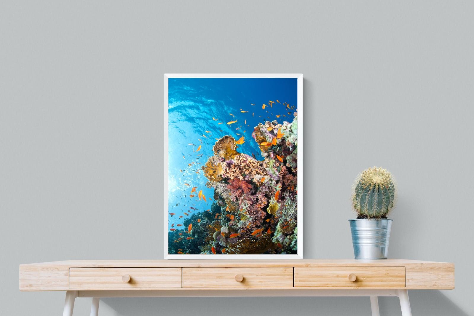 Reef-Wall_Art-60 x 80cm-Mounted Canvas-White-Pixalot