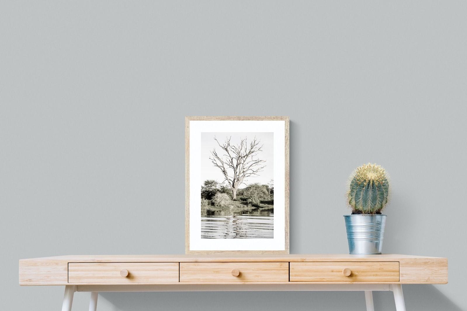 Reflective Ripples-Wall_Art-45 x 60cm-Framed Print-Wood-Pixalot