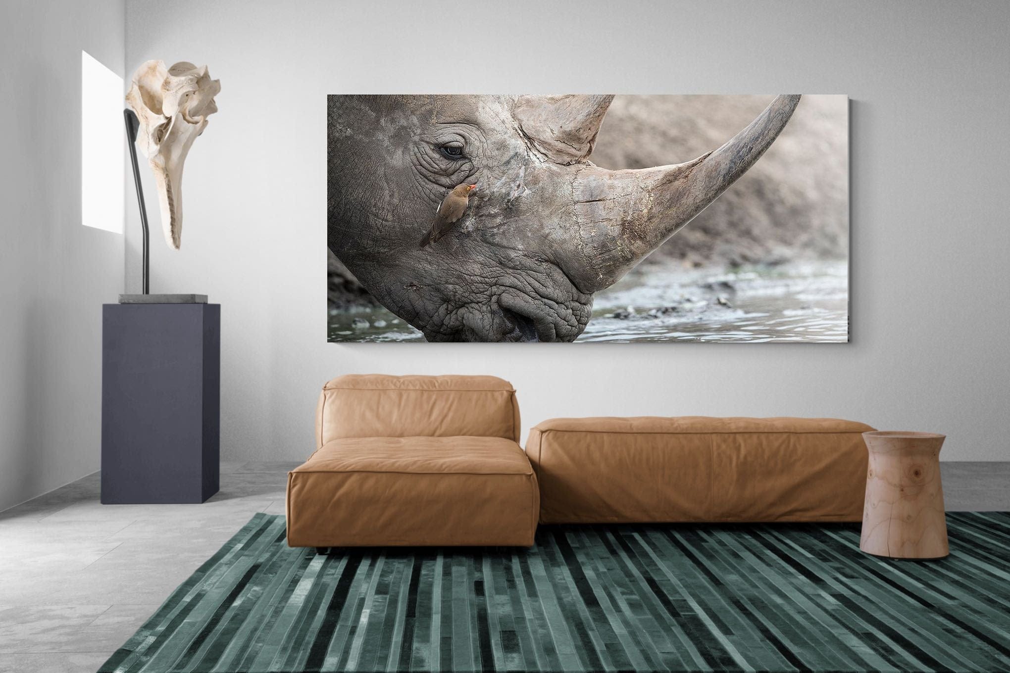 Rhino & Friend-Wall_Art-275 x 130cm-Mounted Canvas-No Frame-Pixalot