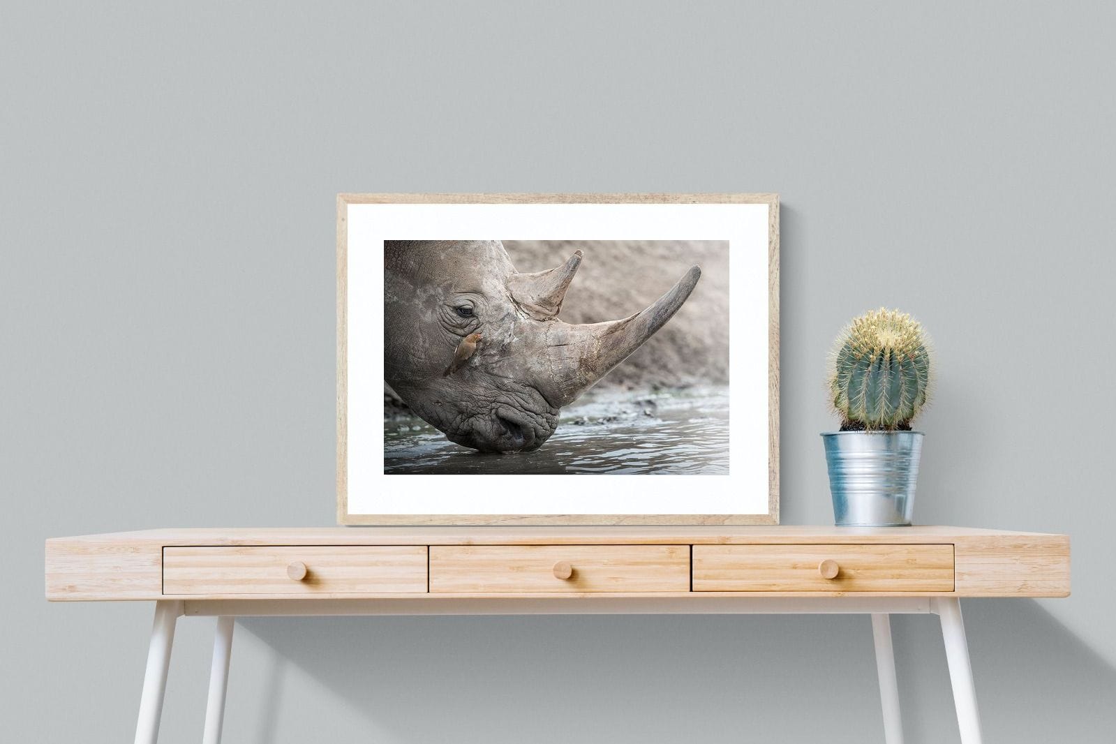 Rhino & Friend-Wall_Art-80 x 60cm-Framed Print-Wood-Pixalot