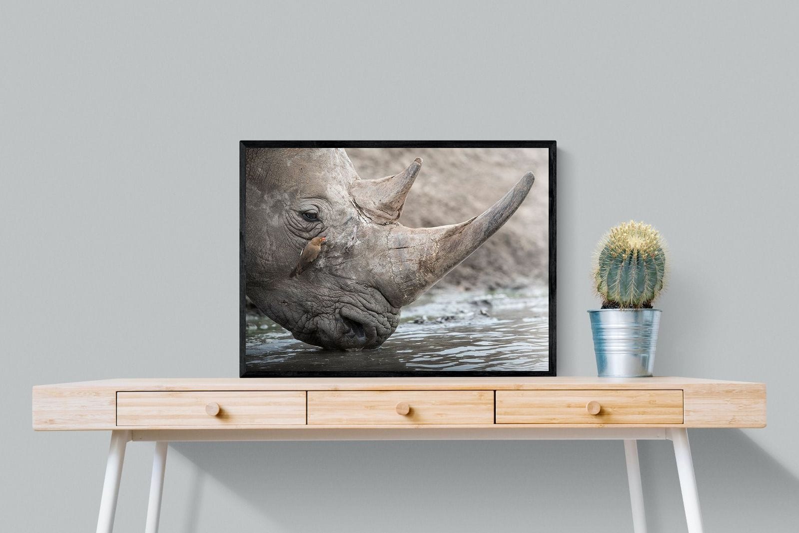 Rhino & Friend-Wall_Art-80 x 60cm-Mounted Canvas-Black-Pixalot