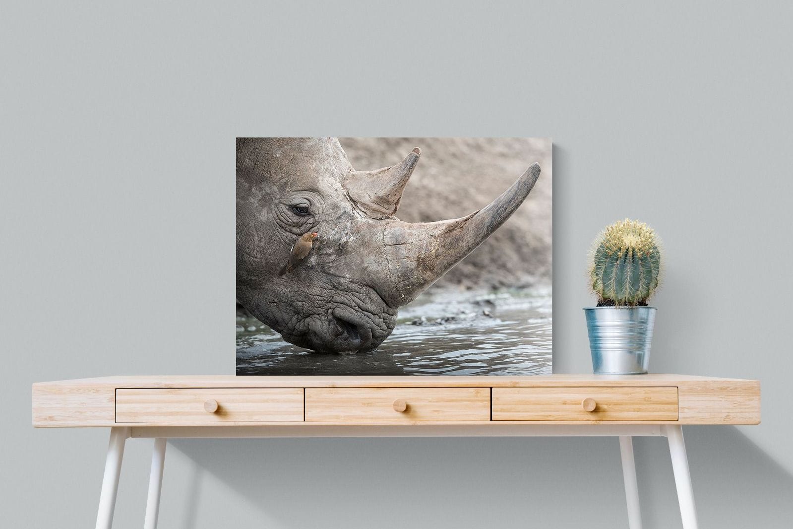 Rhino & Friend-Wall_Art-80 x 60cm-Mounted Canvas-No Frame-Pixalot