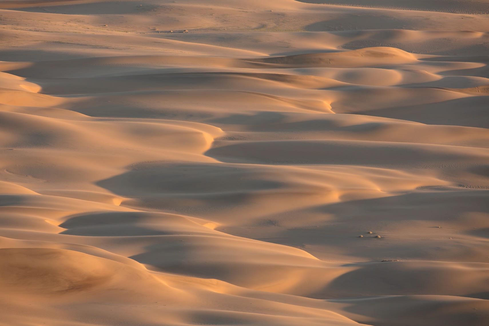 Sand Dunes-Wall_Art-Pixalot