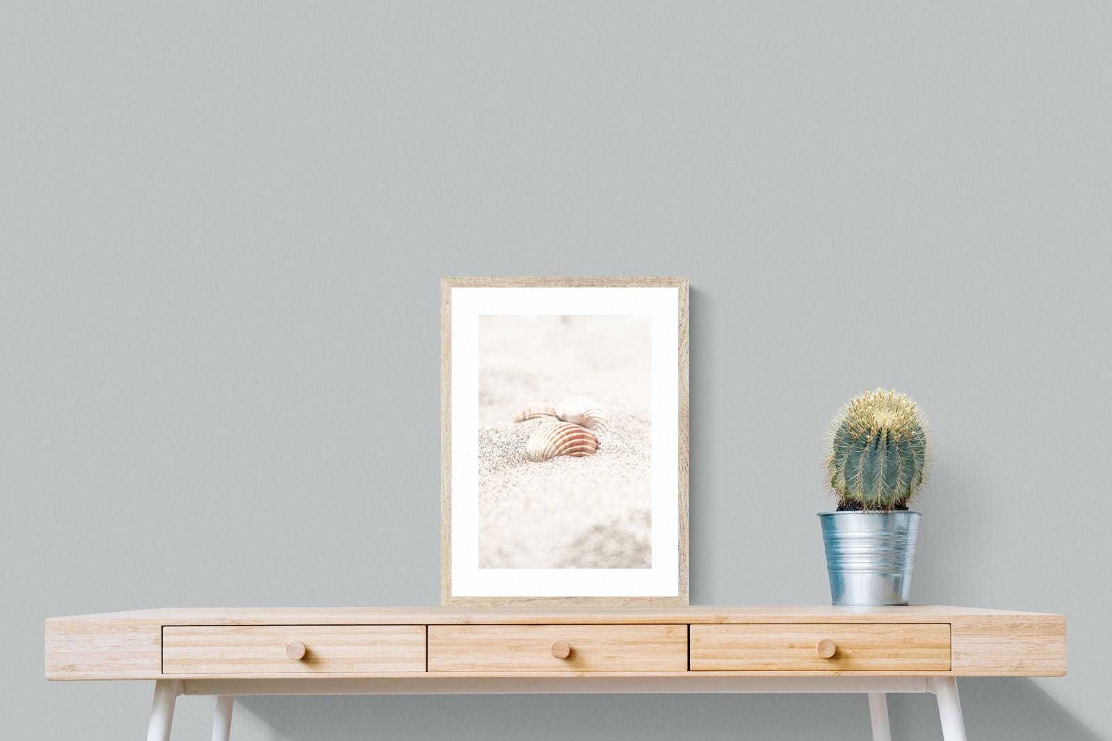 Sand Shell-Wall_Art-45 x 60cm-Framed Print-Wood-Pixalot
