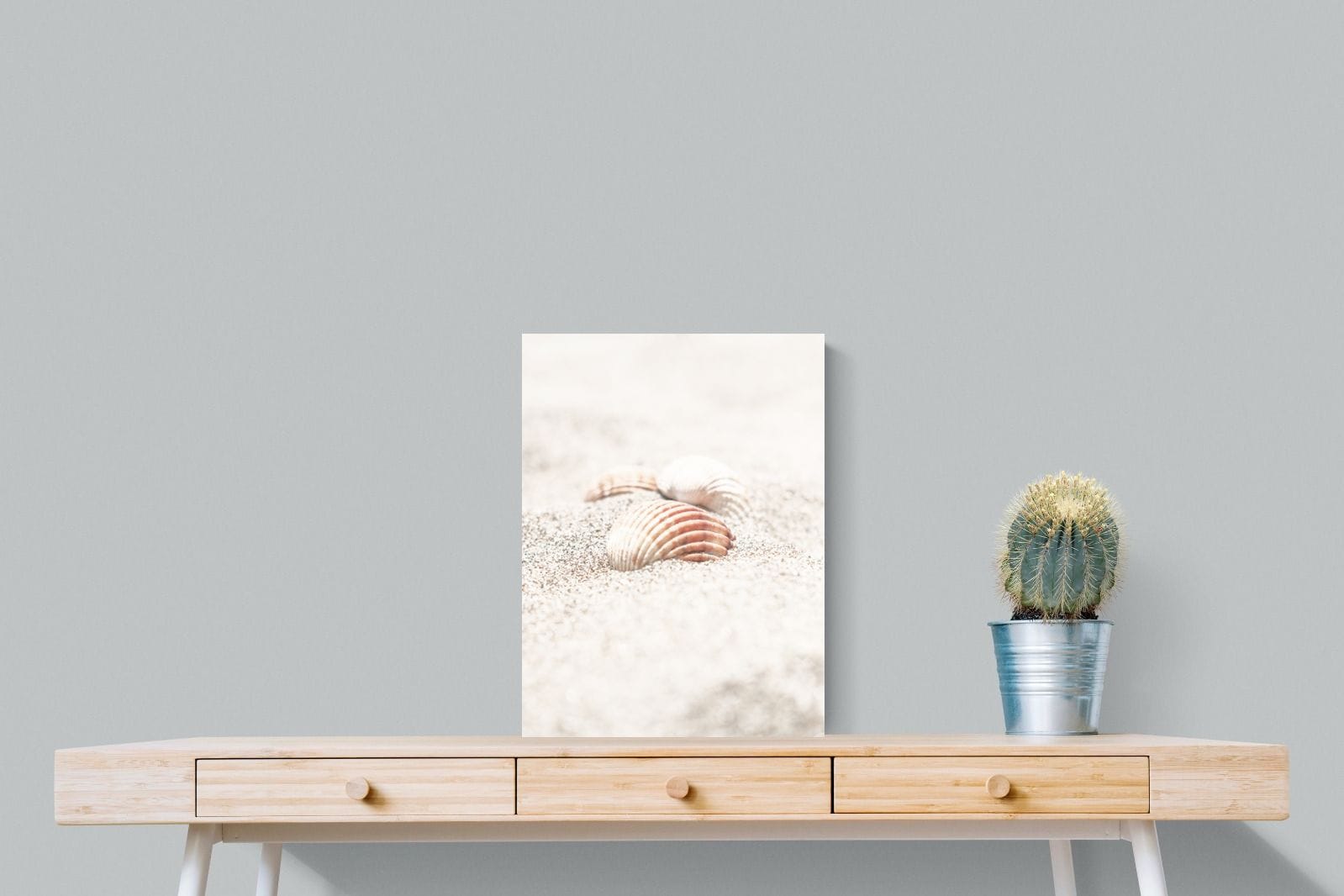 Sand Shell-Wall_Art-45 x 60cm-Mounted Canvas-No Frame-Pixalot