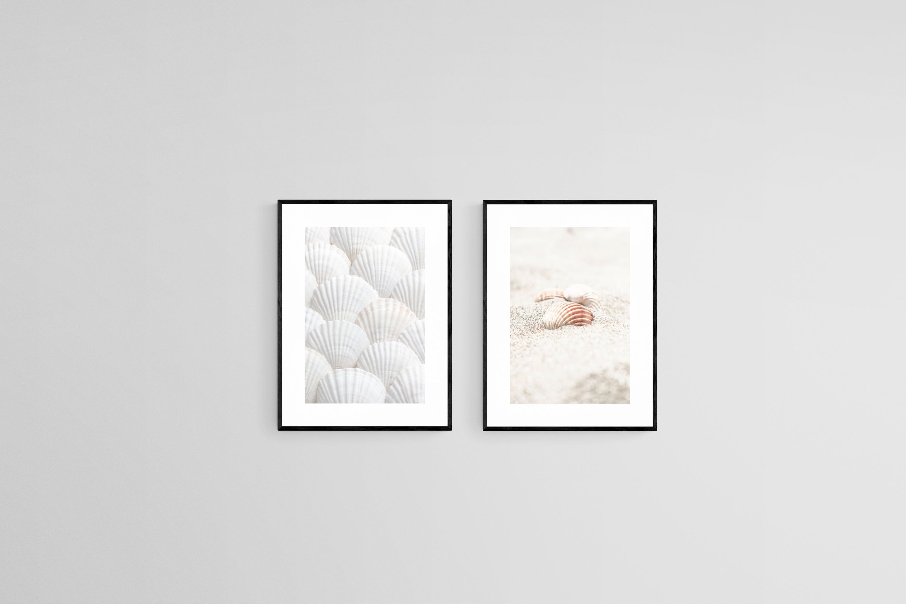 Seashell Set-Wall_Art-45 x 60cm (x2)-Framed Print-Black-Pixalot