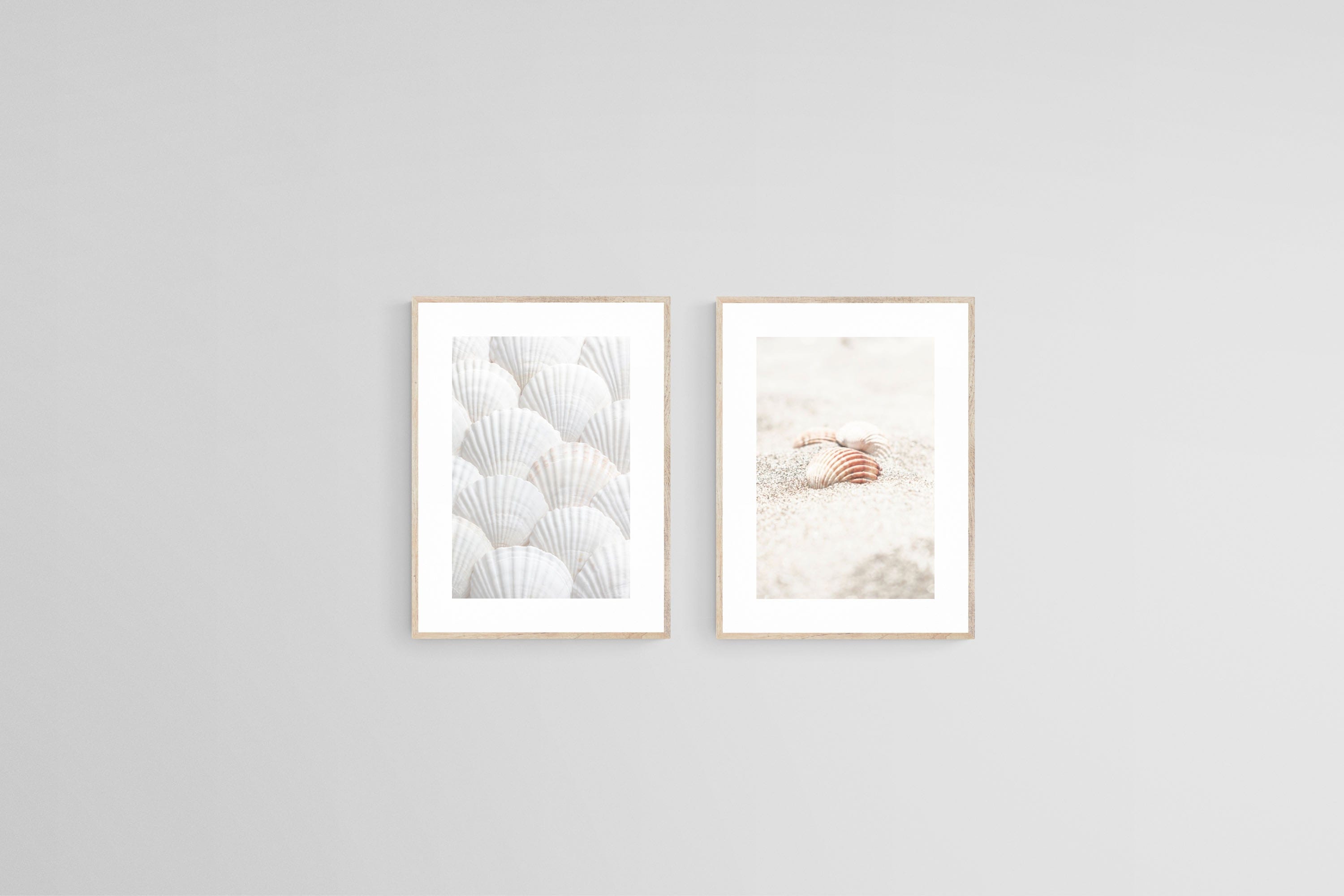 Seashell Set-Wall_Art-45 x 60cm (x2)-Framed Print-Wood-Pixalot