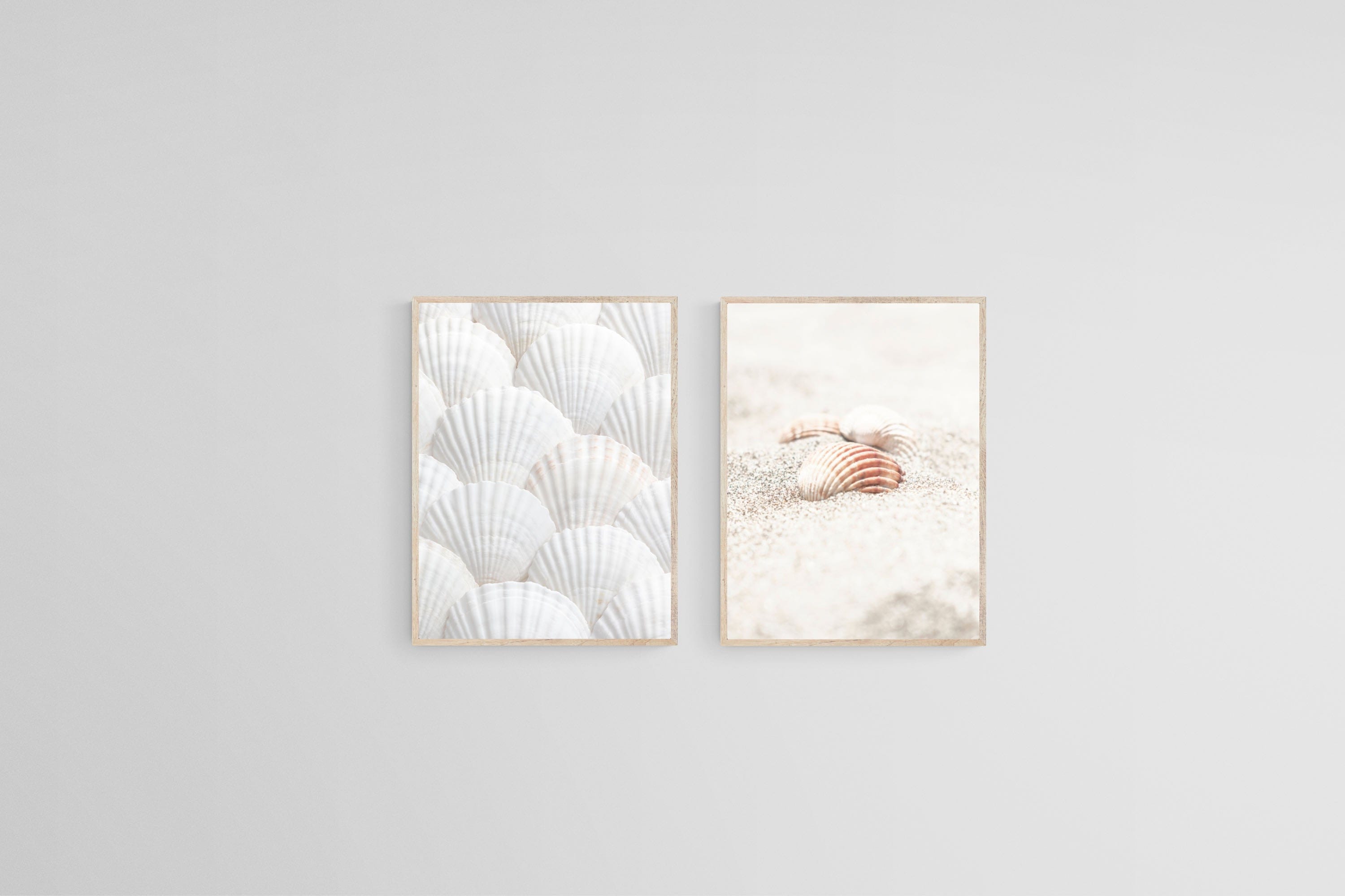 Seashell Set-Wall_Art-45 x 60cm (x2)-Mounted Canvas-Wood-Pixalot