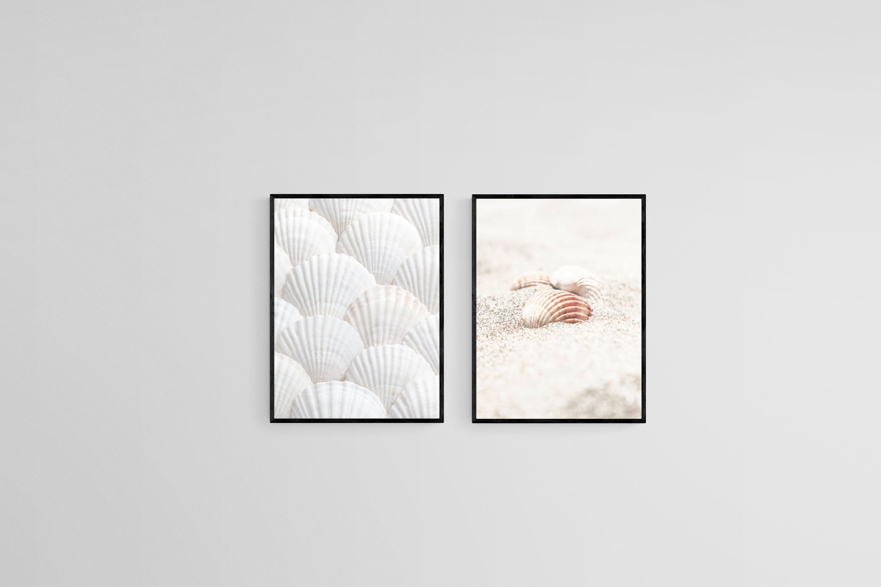 Seashell Set-Wall_Art-45 x 60cm (x2)-Mounted Canvas-Black-Pixalot