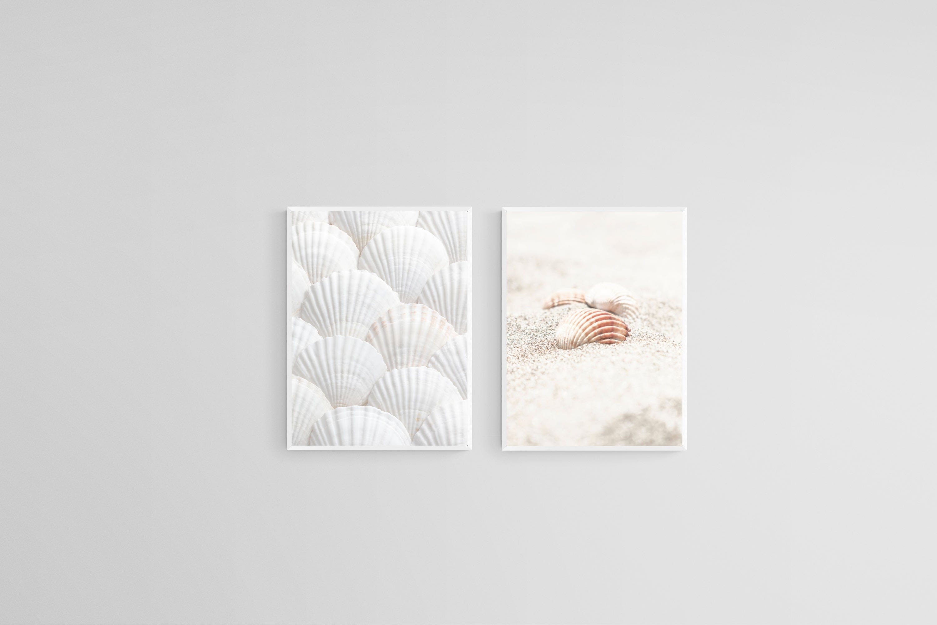Seashell Set-Wall_Art-45 x 60cm (x2)-Mounted Canvas-White-Pixalot