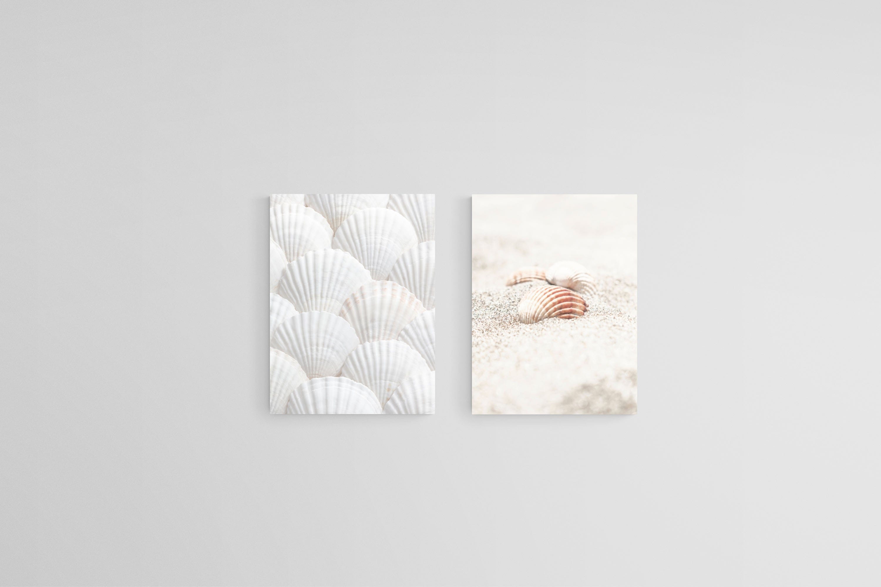 Seashell Set-Wall_Art-45 x 60cm (x2)-Mounted Canvas-No Frame-Pixalot