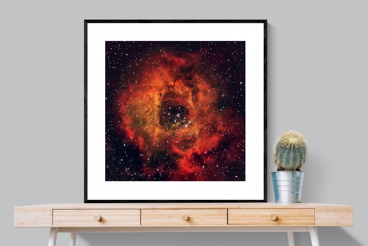 Sky Rose-Wall_Art-100 x 100cm-Framed Print-Black-Pixalot