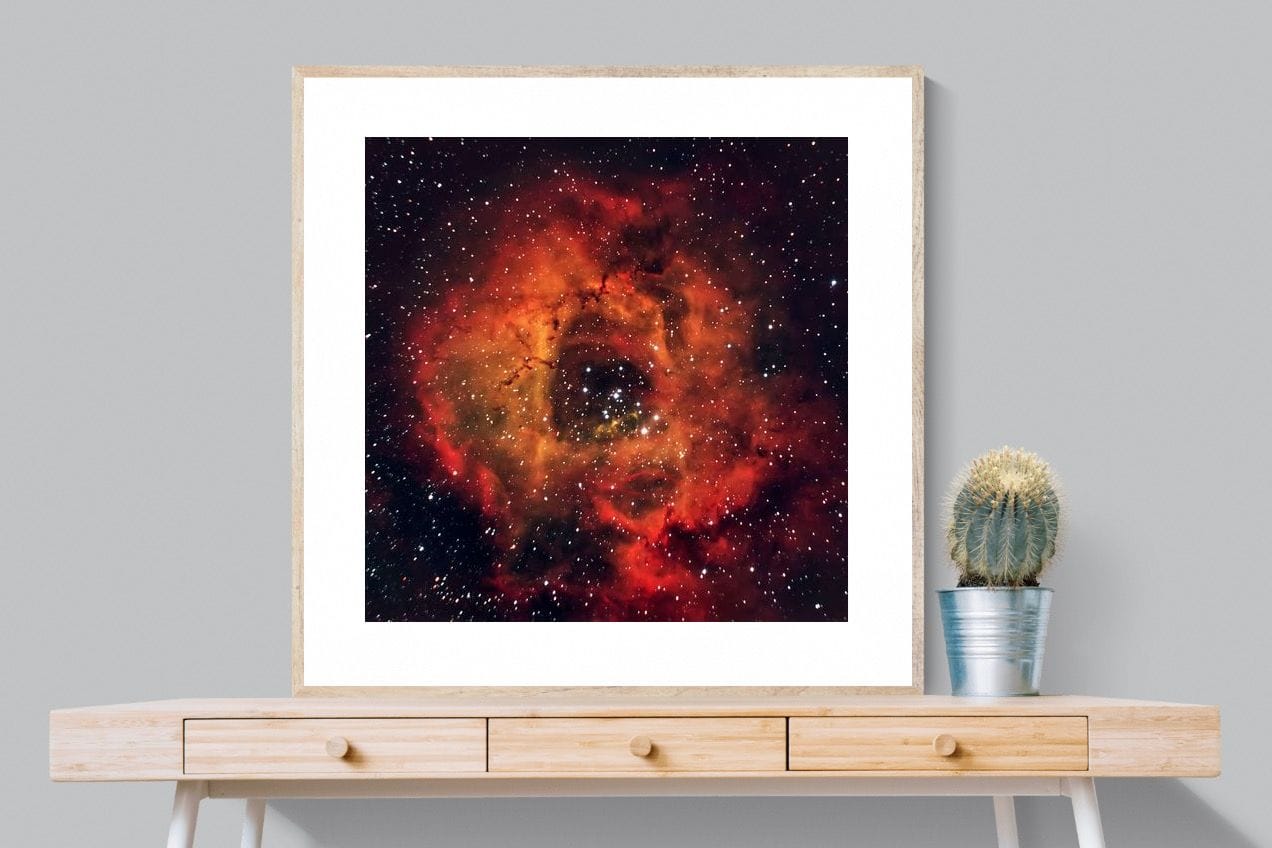 Sky Rose-Wall_Art-100 x 100cm-Framed Print-Wood-Pixalot