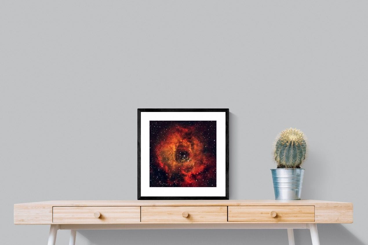 Sky Rose-Wall_Art-50 x 50cm-Framed Print-Black-Pixalot