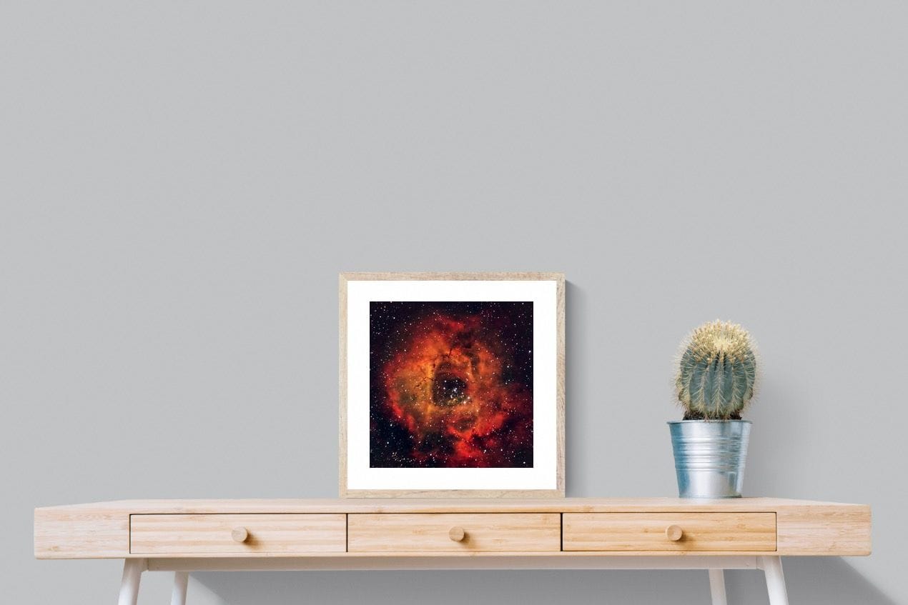 Sky Rose-Wall_Art-50 x 50cm-Framed Print-Wood-Pixalot