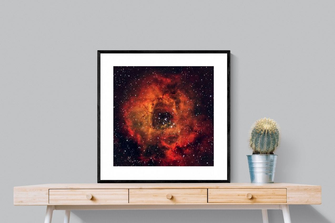 Sky Rose-Wall_Art-80 x 80cm-Framed Print-Black-Pixalot