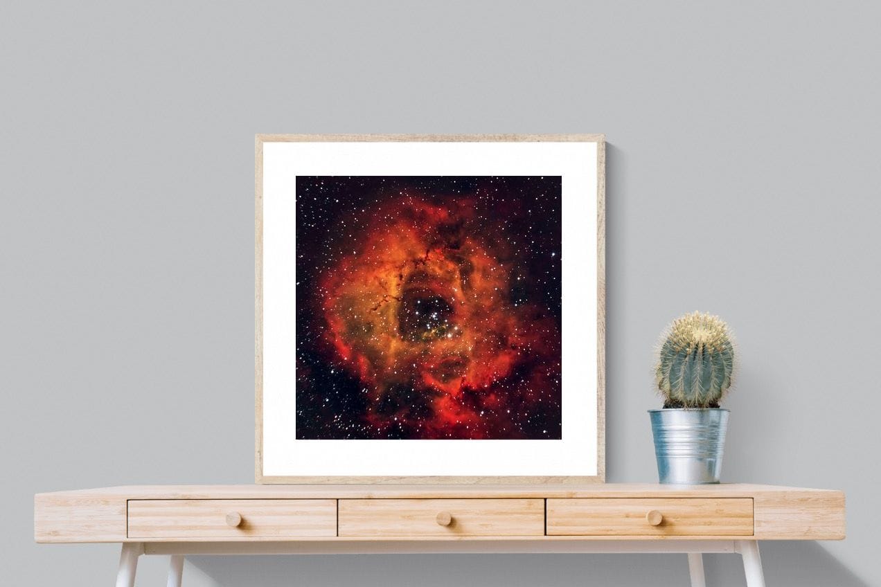 Sky Rose-Wall_Art-80 x 80cm-Framed Print-Wood-Pixalot