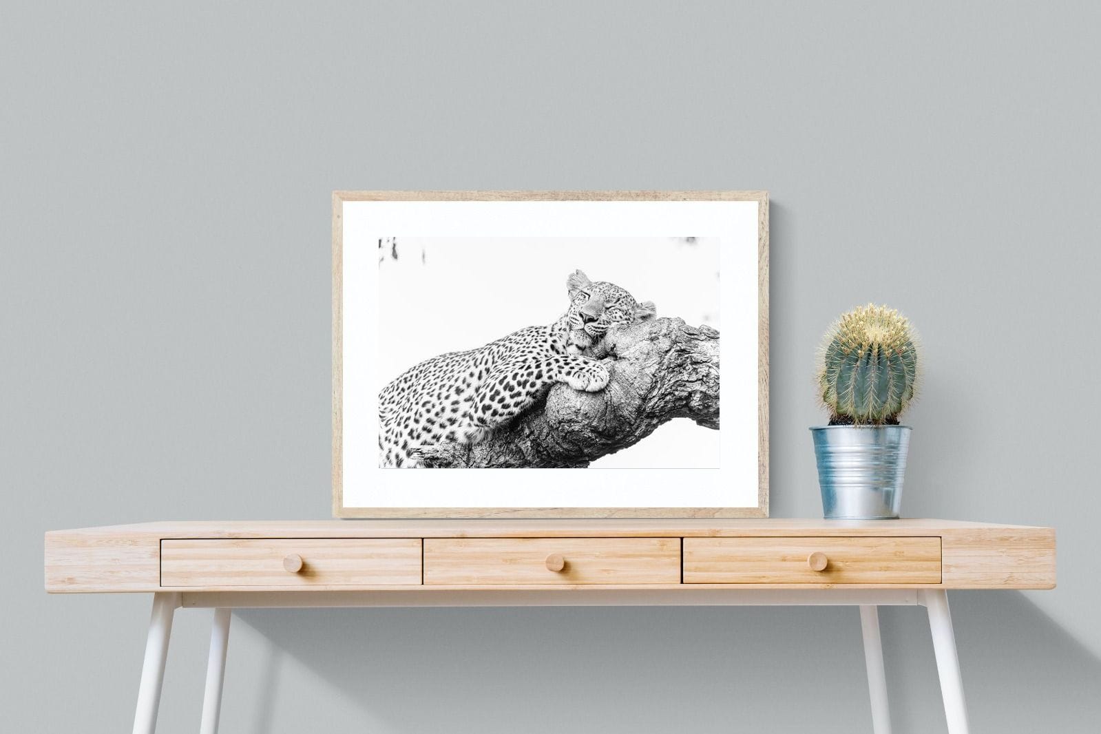 Sleeping Leopard-Wall_Art-80 x 60cm-Framed Print-Wood-Pixalot