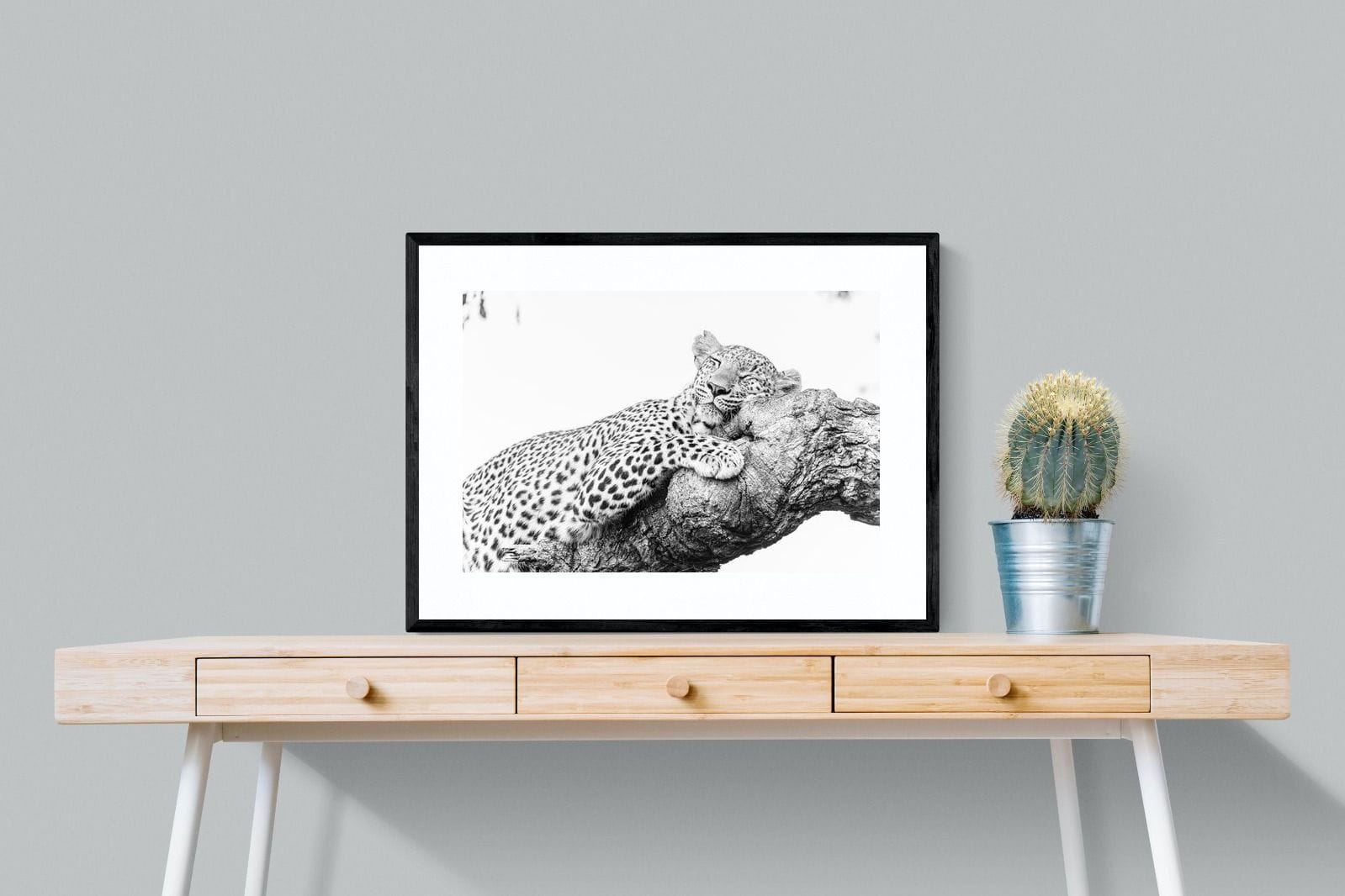 Sleeping Leopard-Wall_Art-80 x 60cm-Framed Print-Black-Pixalot