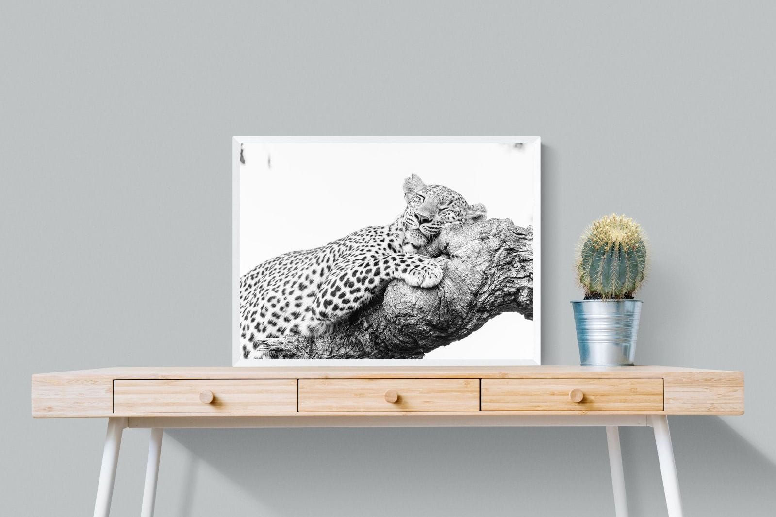 Sleeping Leopard-Wall_Art-80 x 60cm-Mounted Canvas-White-Pixalot