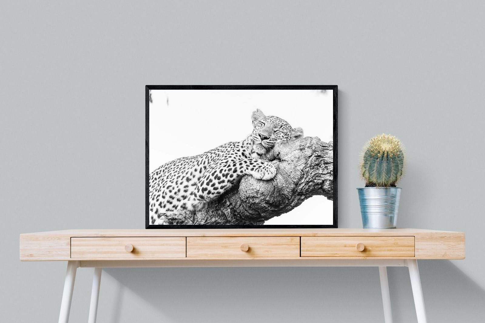 Sleeping Leopard-Wall_Art-80 x 60cm-Mounted Canvas-Black-Pixalot