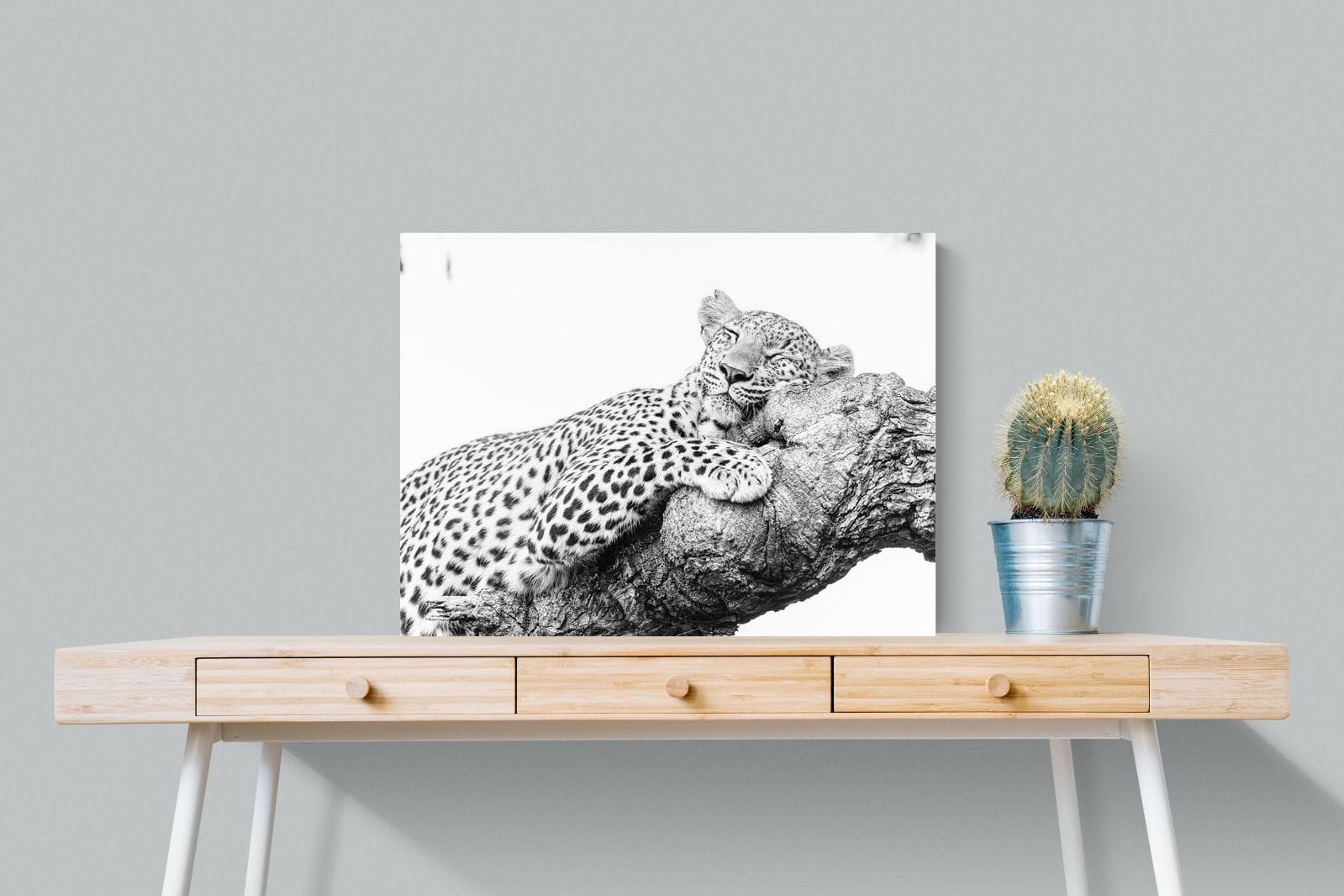 Sleeping Leopard-Wall_Art-80 x 60cm-Mounted Canvas-No Frame-Pixalot