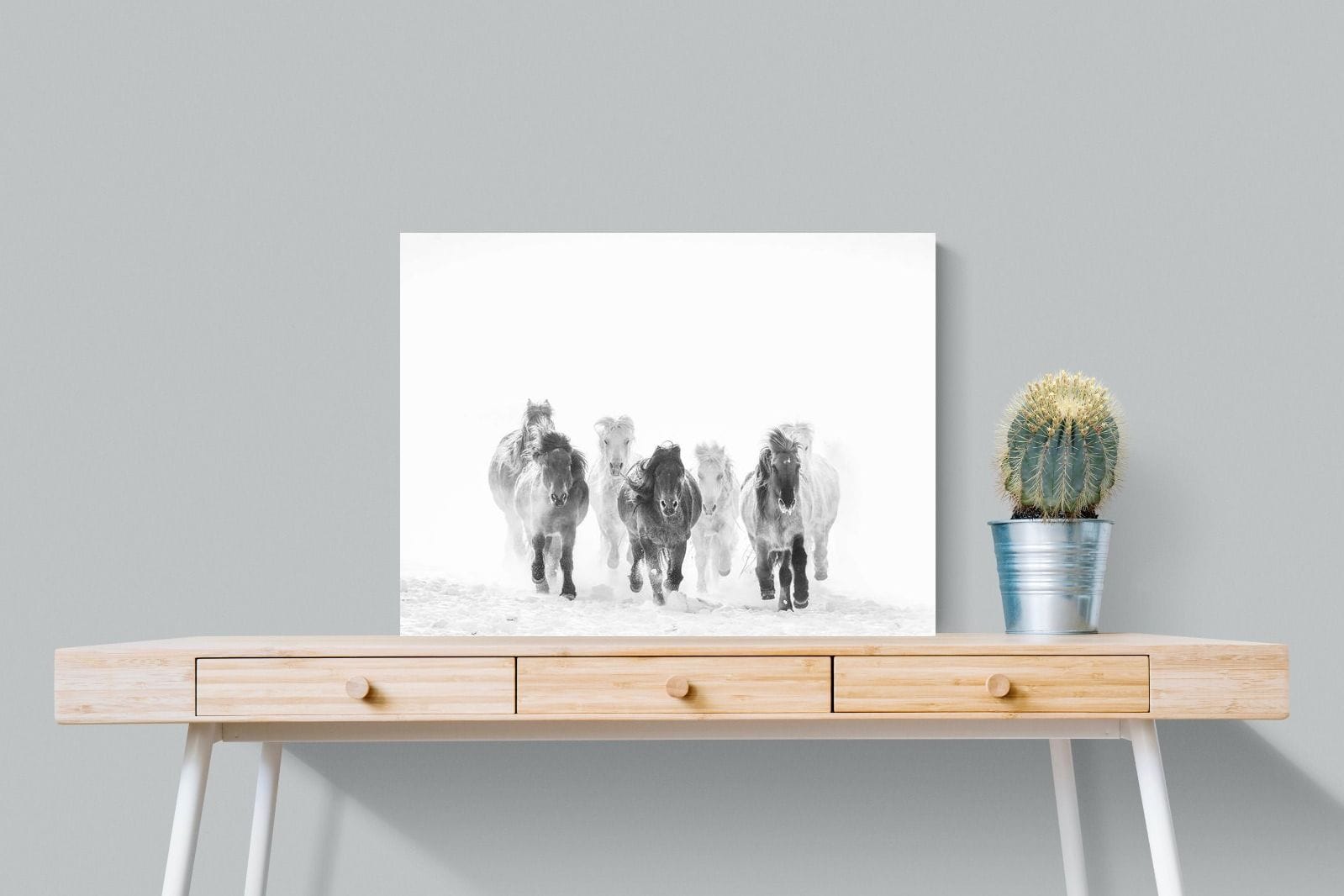 Snowy Gallop-Wall_Art-80 x 60cm-Mounted Canvas-No Frame-Pixalot