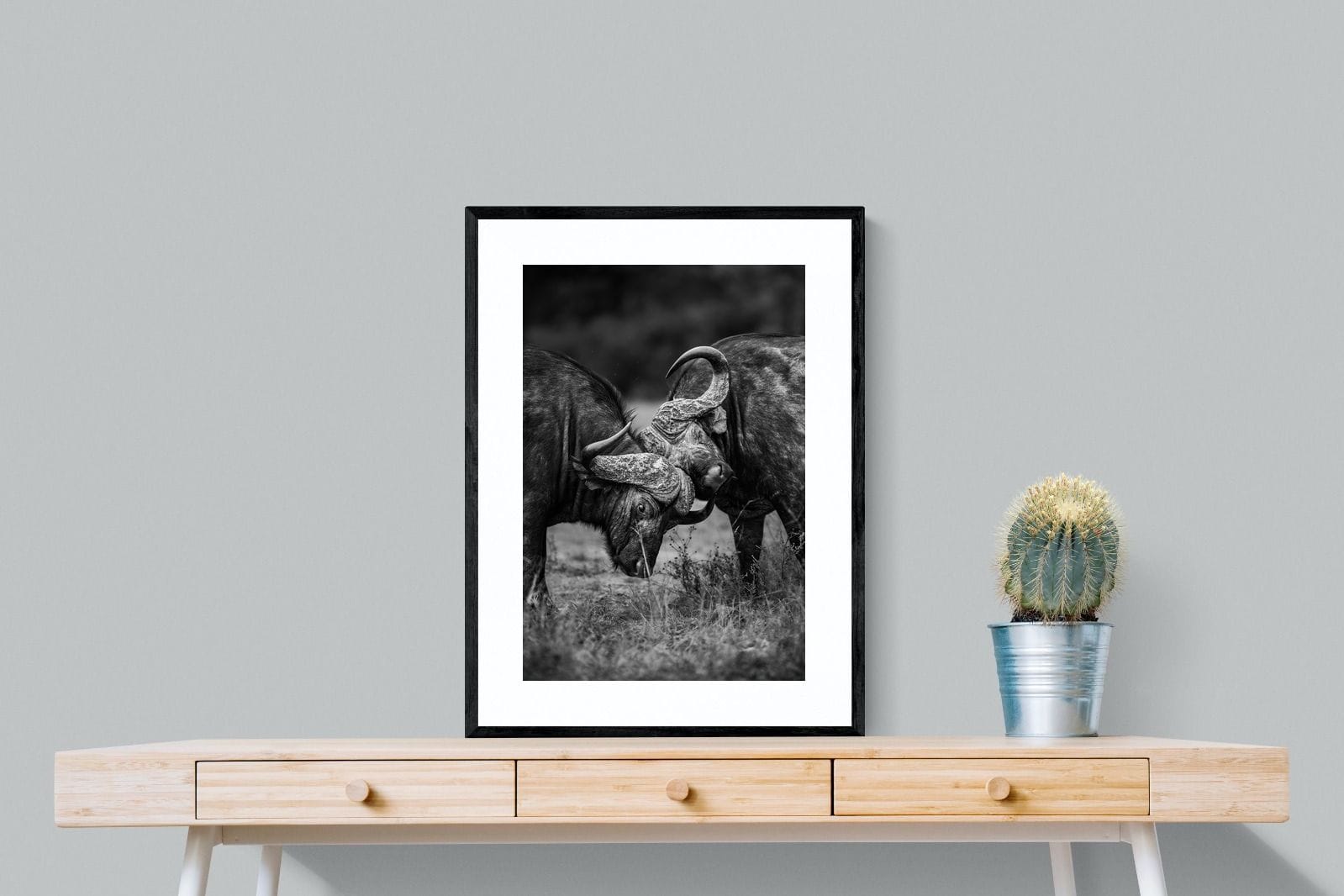Sparring-Wall_Art-60 x 80cm-Framed Print-Black-Pixalot