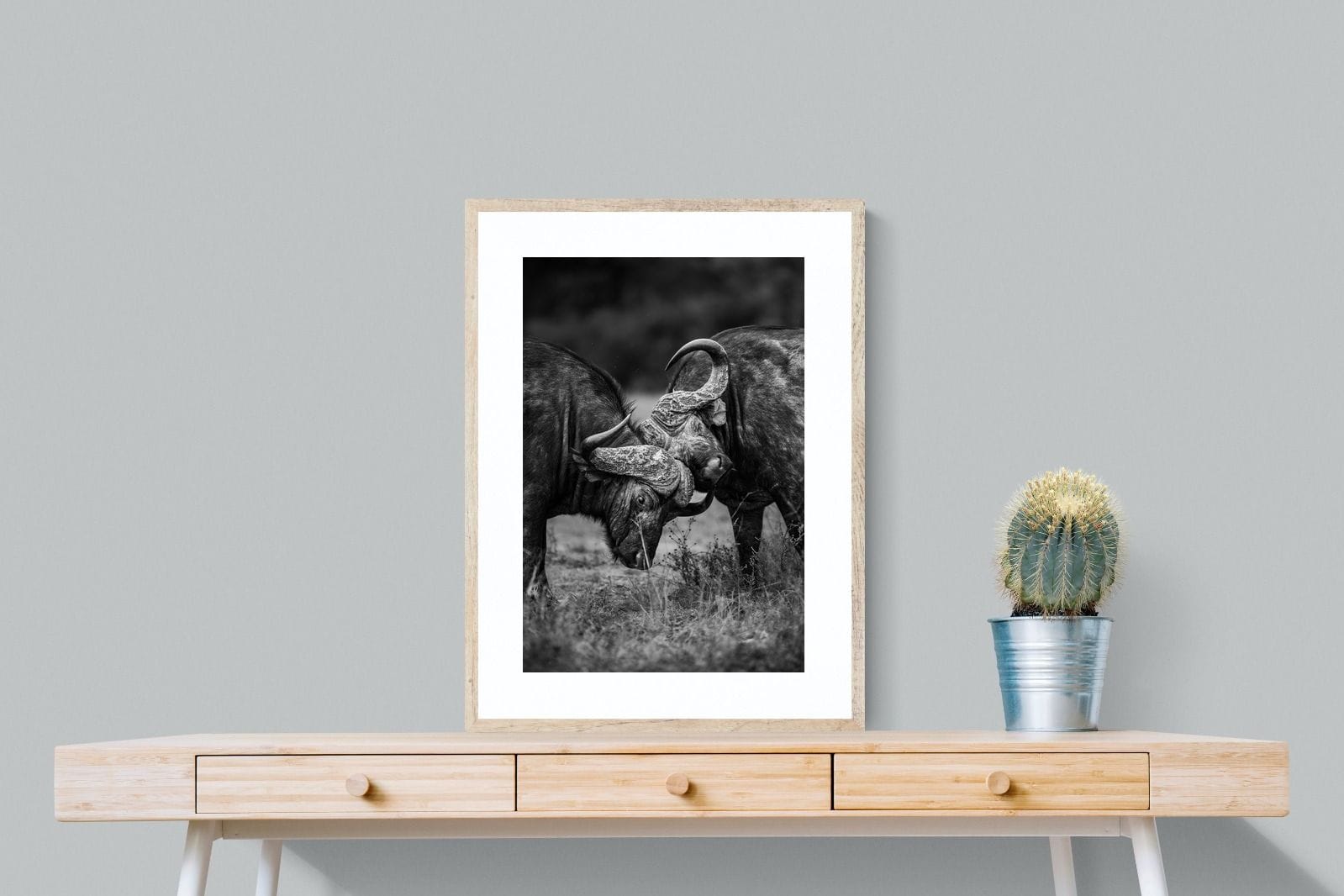Sparring-Wall_Art-60 x 80cm-Framed Print-Wood-Pixalot